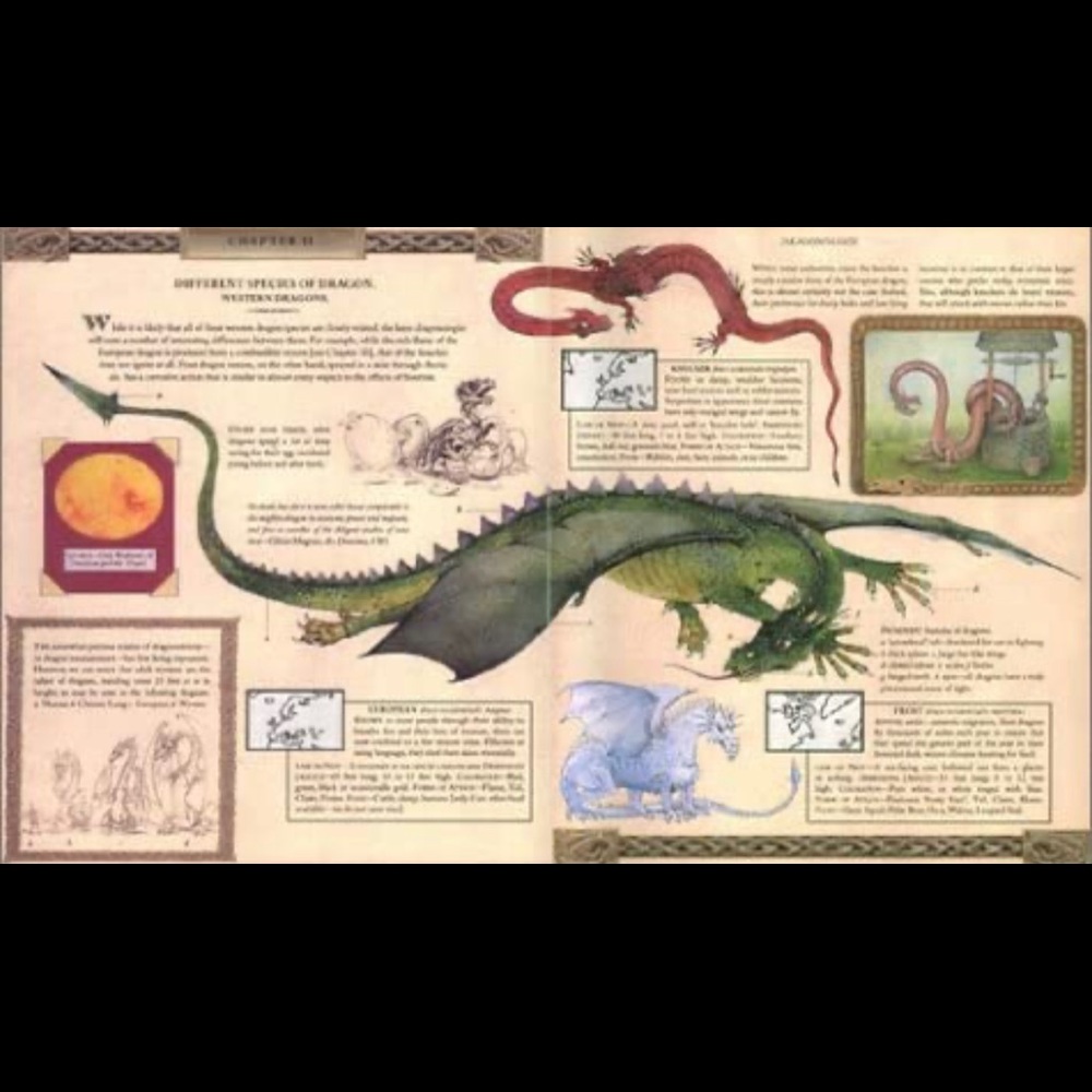Dragonology The Complete Book of Dragons - Picture 2 of 9